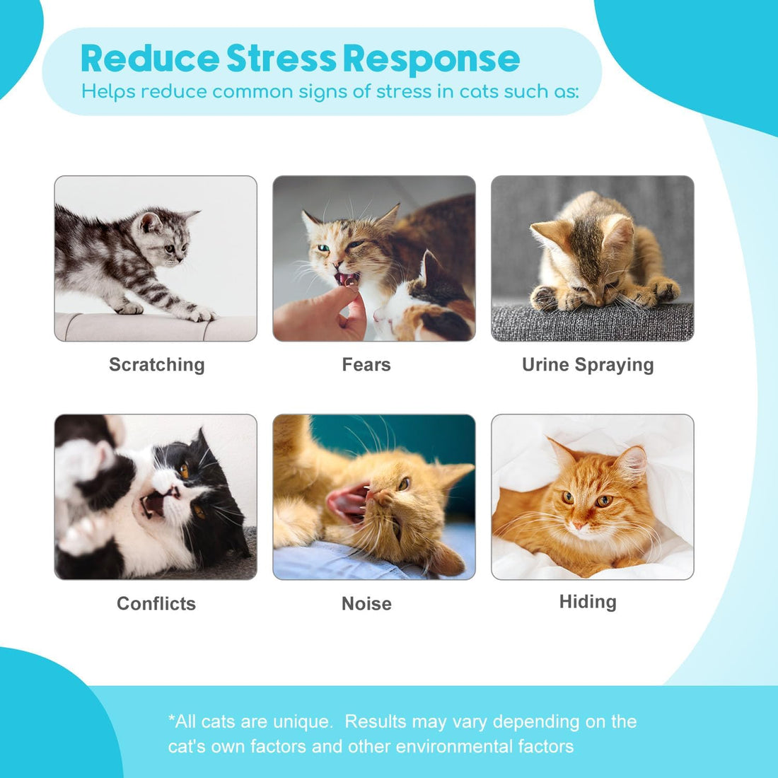 Cat Calming Diffuser 2 Pack Multi Cat Pheromones Diffuser Helps Calm