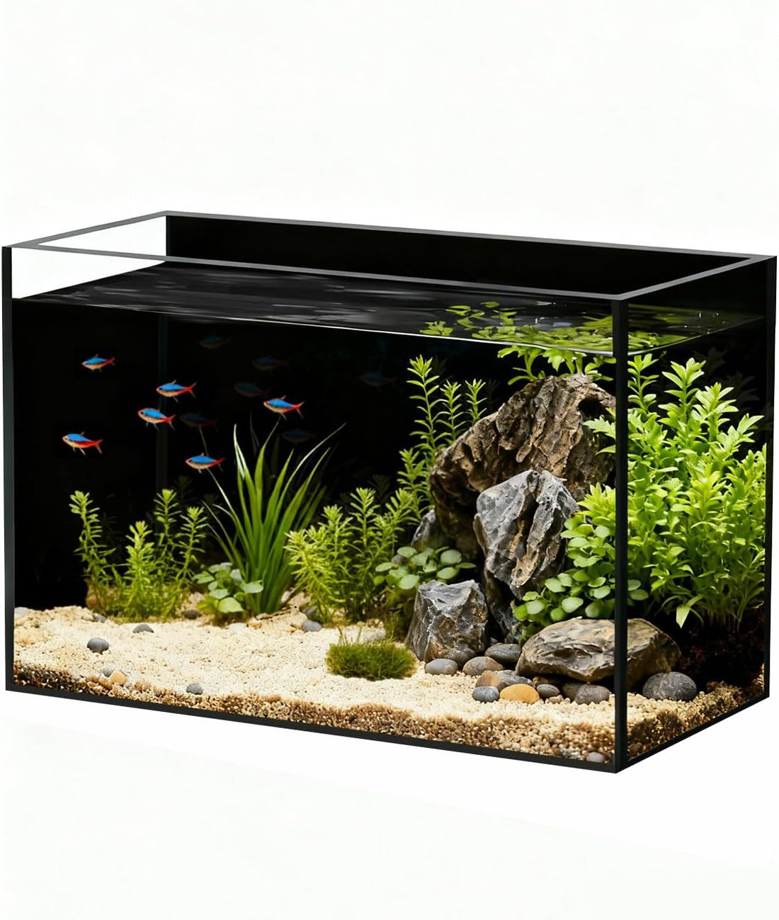 2.5 Gallon Nano Glass Fish Tank, Ultra-Clear Rimless Desktop Aquarium