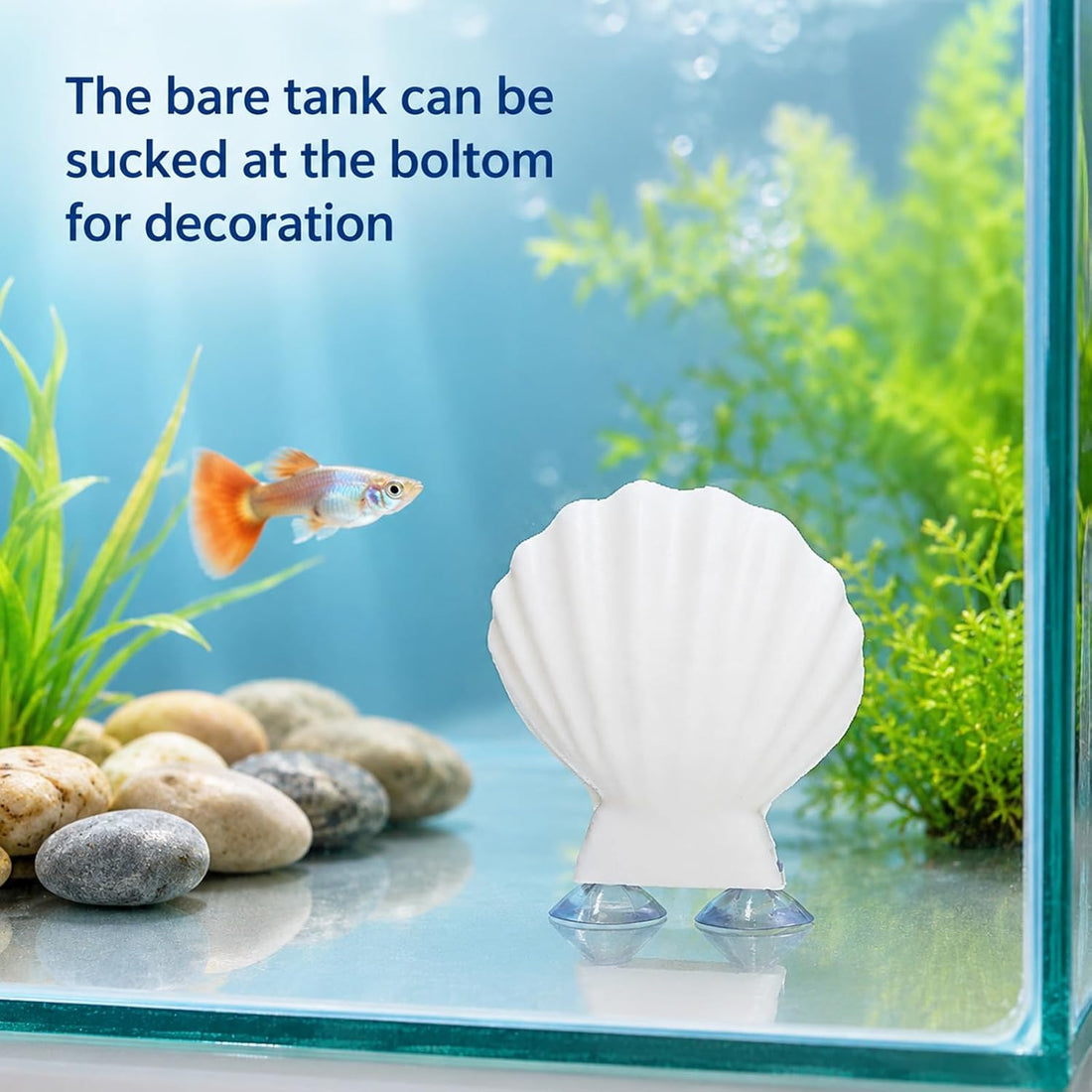 Betta Fish Hammock Shell, Shell Bed with Strong Suction Cup (White)