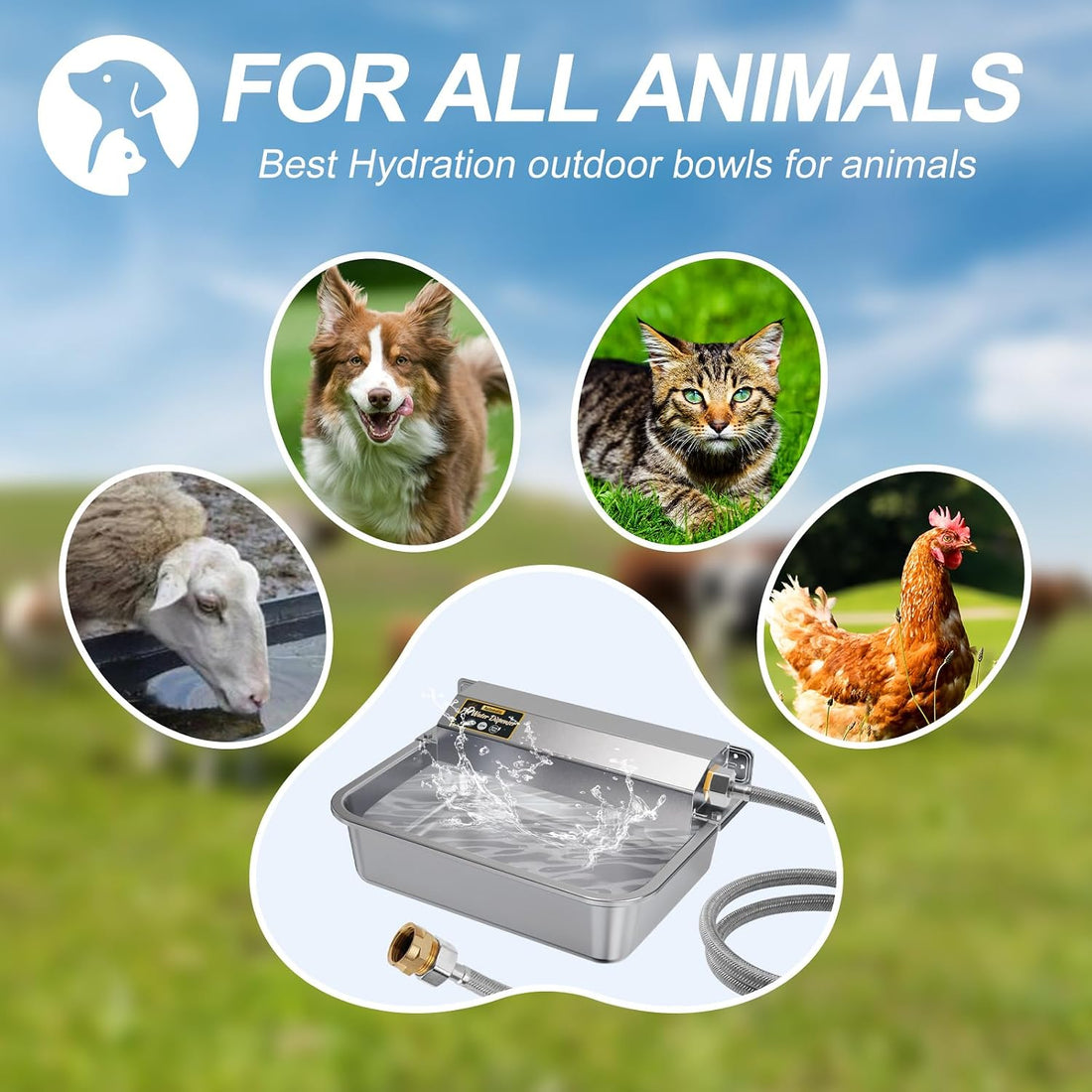 PETHIND 1Gal/3.8L Automatic Water Dispenser for Dogs