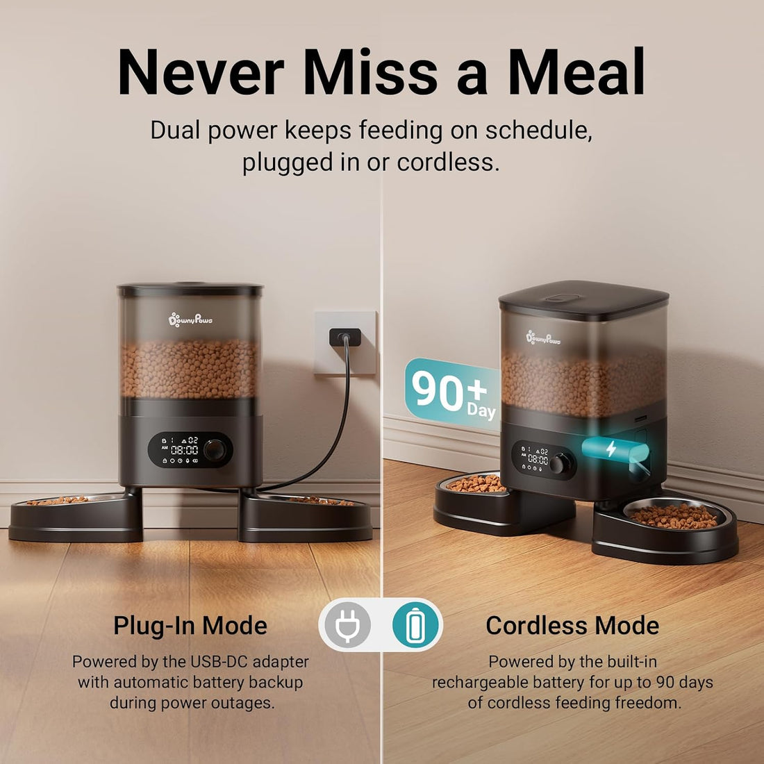 DownyPaws Automatic Cat Feeder 2 Cats