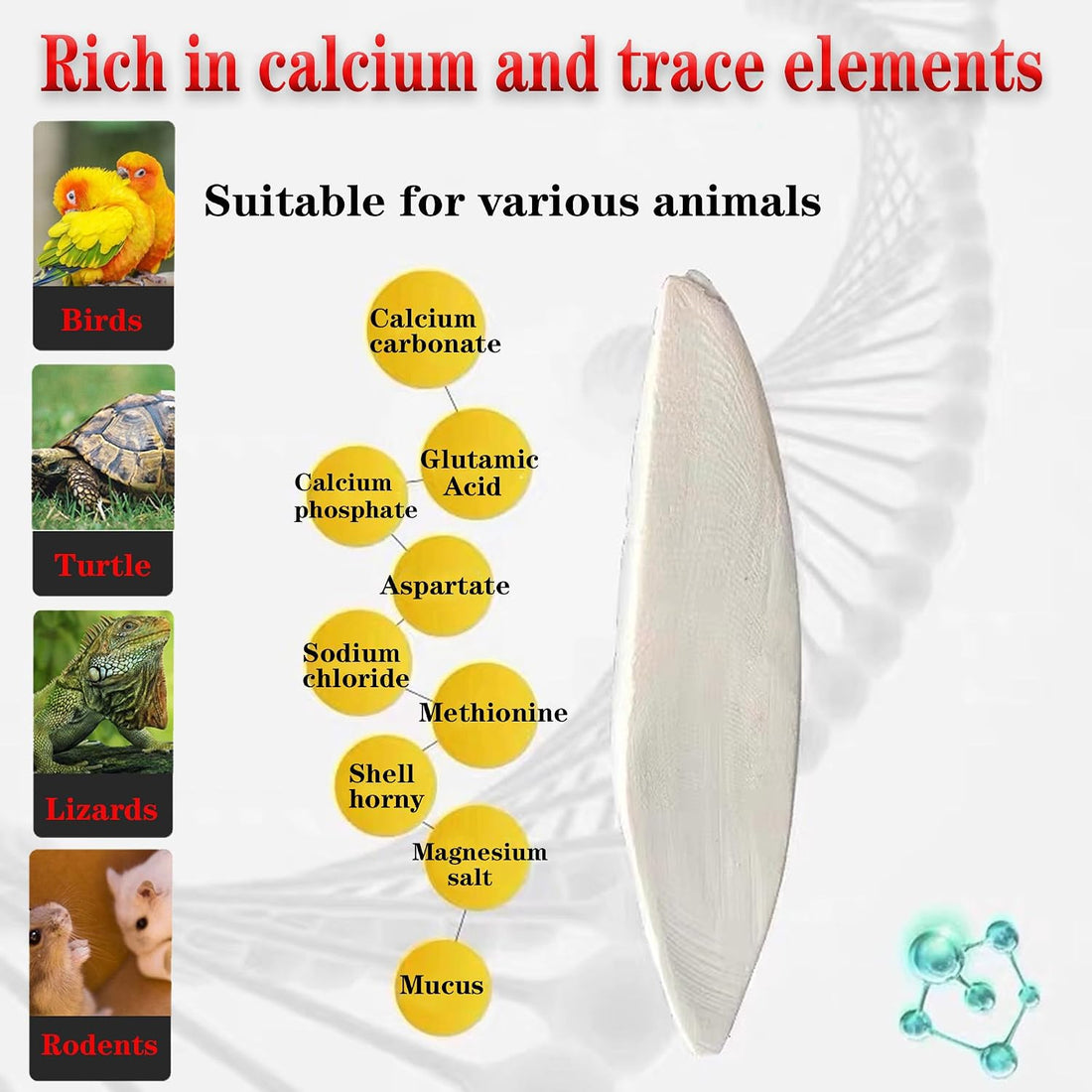 Clyairmao Bird Cuttlebone for Parakeets Cuttlebone for Birds