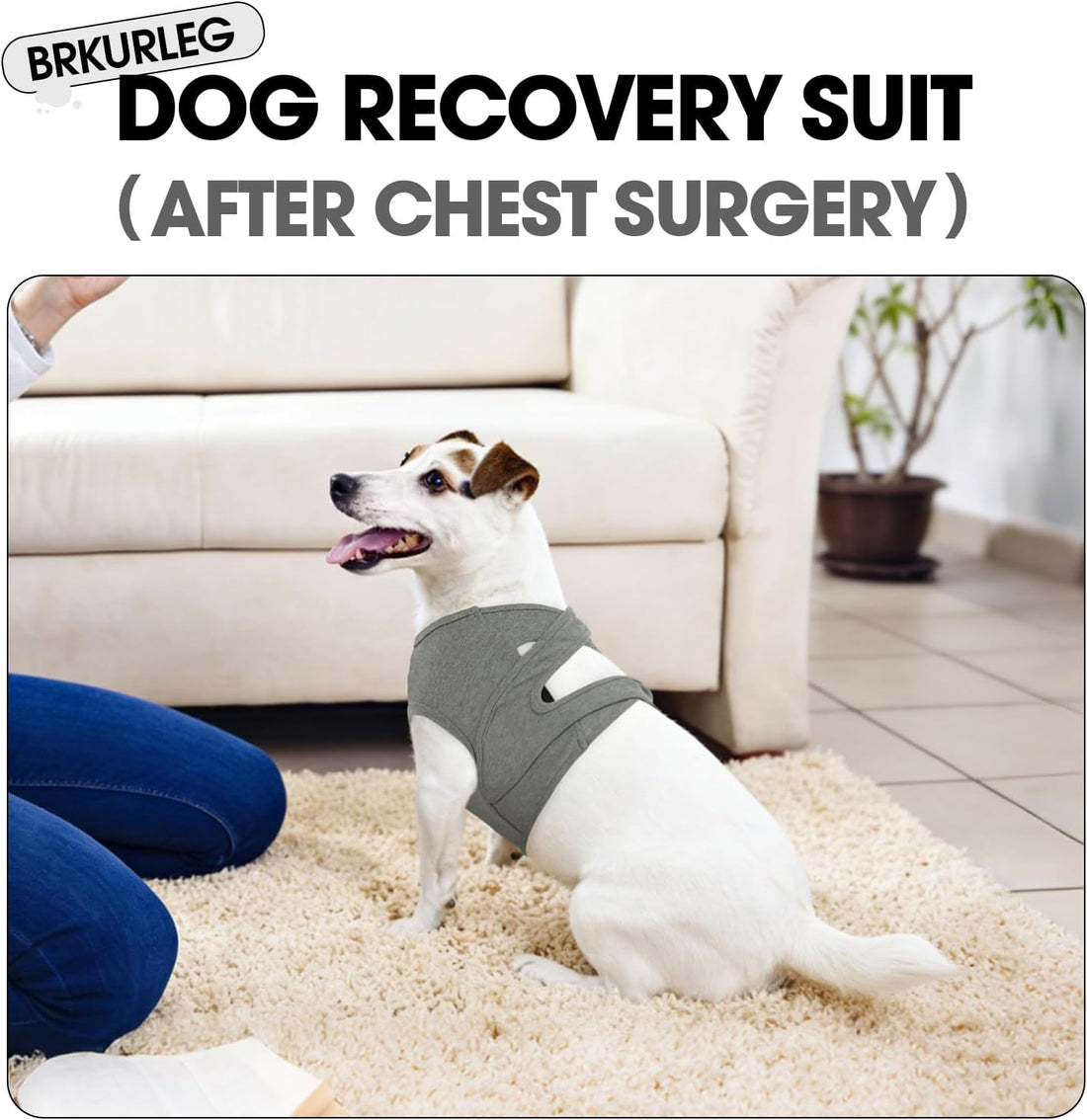 BRKURLEG Chest Recovery Suit for Dogs, Chest Wound Cover, Grey XL