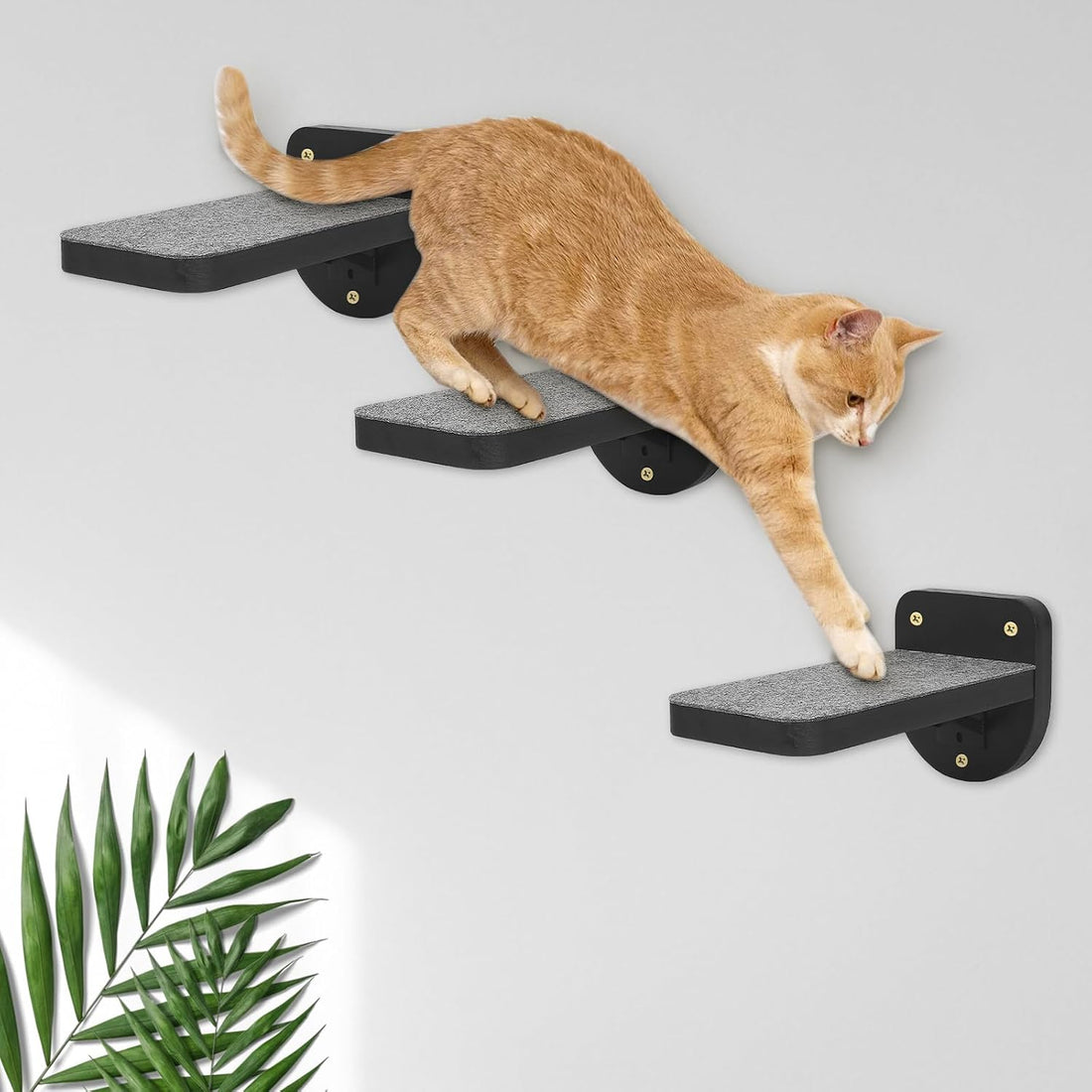 ESPETS Set of 3 Black Natural Sturdy Wood Cat Wall Floating Steps