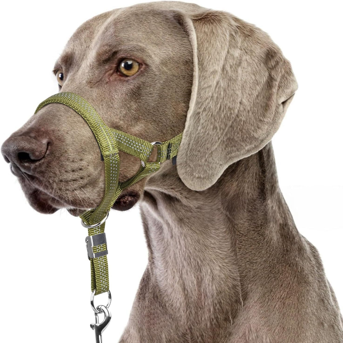 BARKLESS No Pull Head Collar for Medium Large Dogs, Sturdy Head Halter