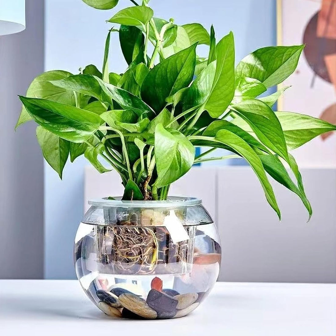 4 Pack Clear Bubble Bowl Glass Vase, 6 inch Fish Bowl Vase