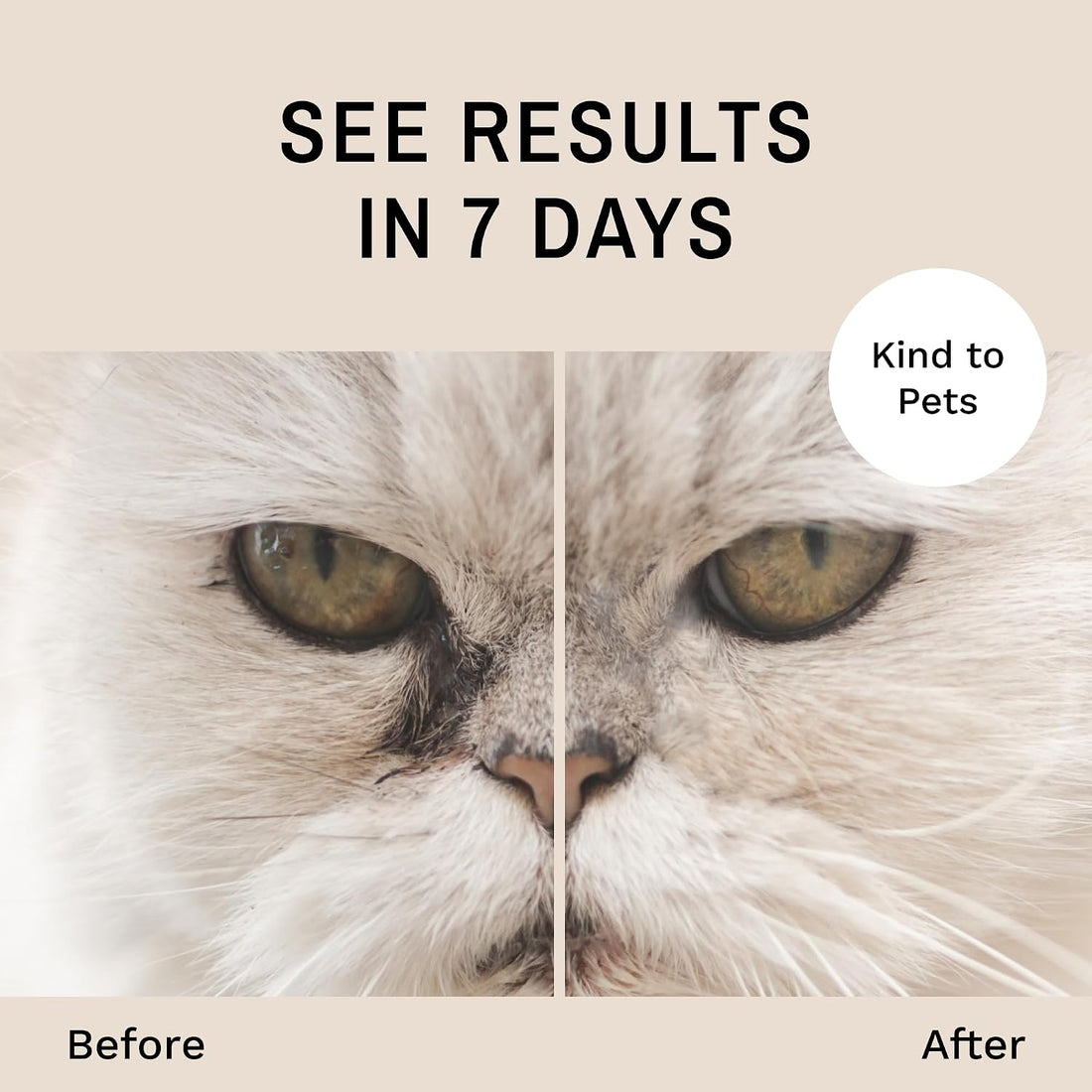 Eye Envy Cat Tear Stain Remover Starter Kit with ProPowder Brush.