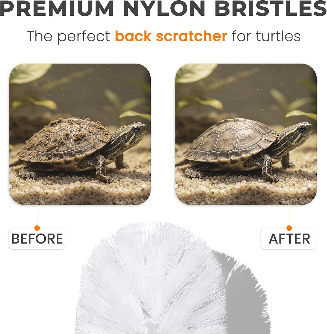 Turtle Brush with Suction Cup, Aquatic Turtle Tank Accessories