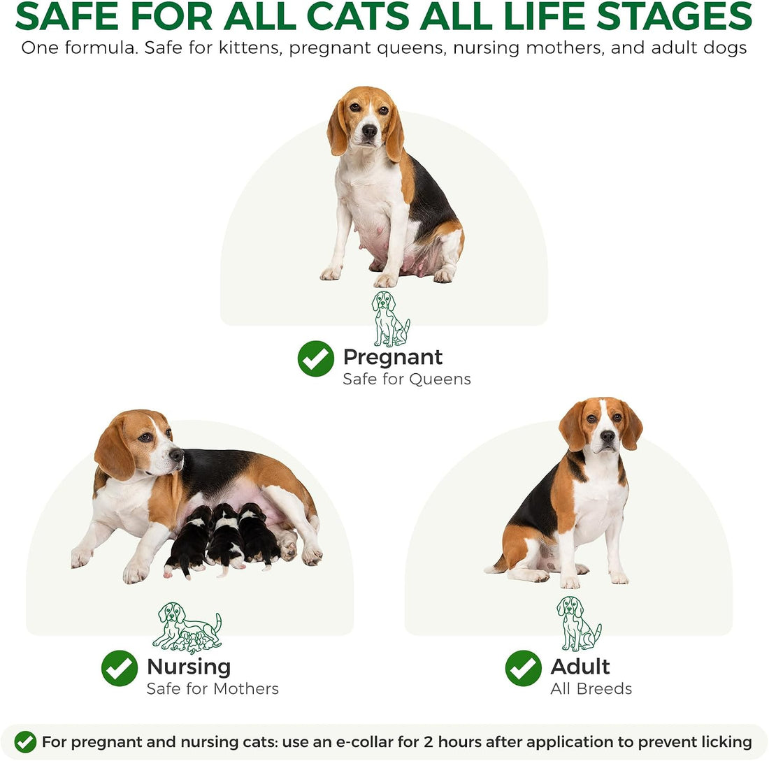 Flea and Tick for Medium Dogs 23-44 lbs, 6 Topical Doses