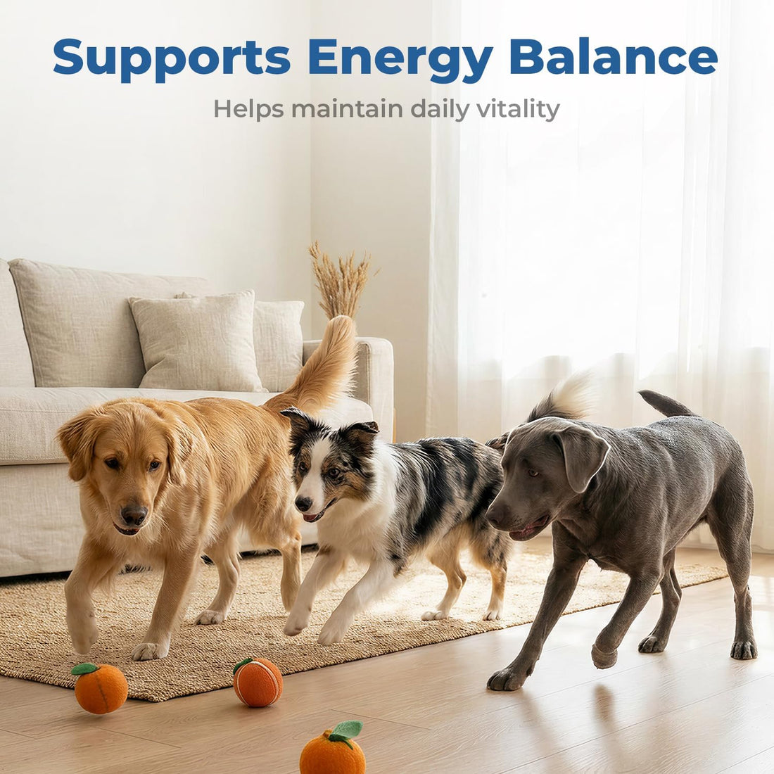 Taurine Supplement for Dogs Drops