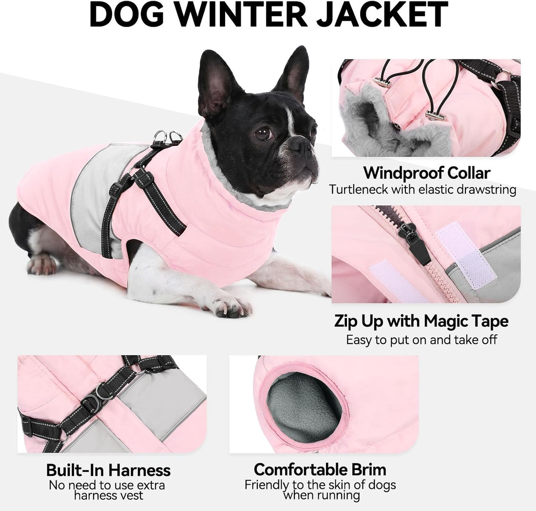 Dog Winter Coat Waterproof Dog Jacket with Harness for Medium Dogs
