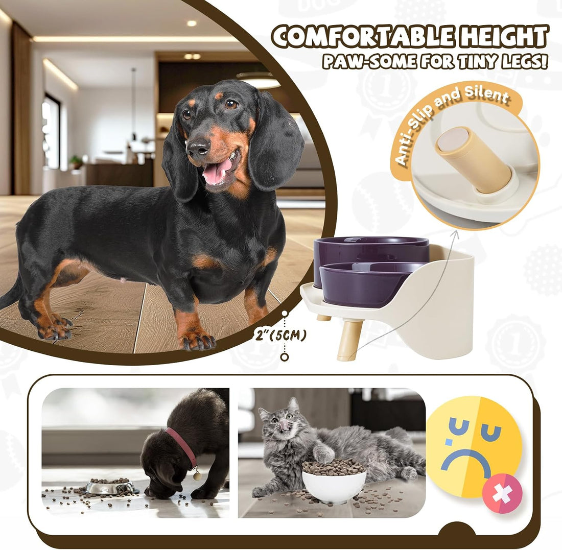 Raised Dog Feeder Bowl Stand