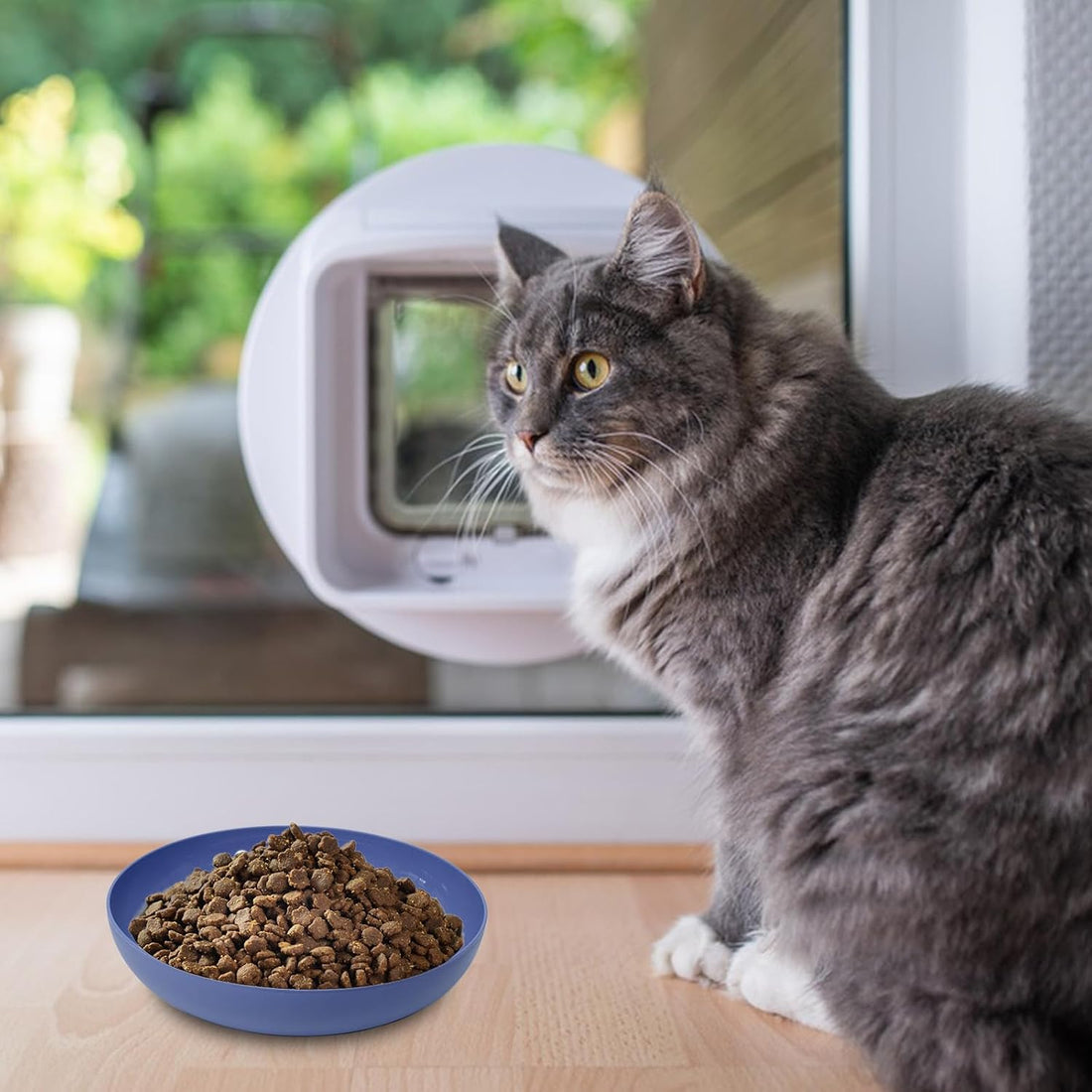 Cat Dishes Whisker Friendly, Shallow Wide Pet Food and Water Bowl