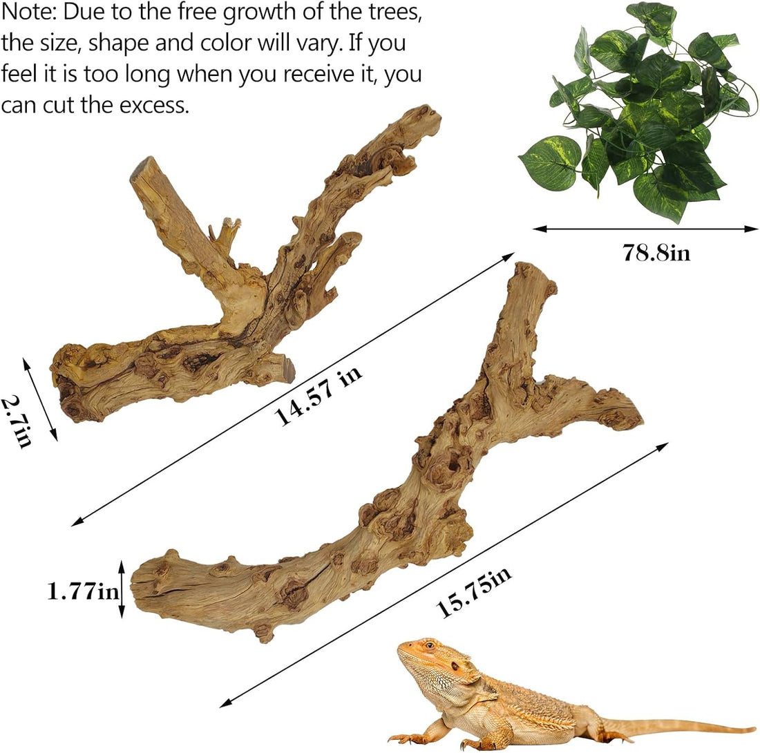 VCEPJH 2 Pack Reptile Wood Branches