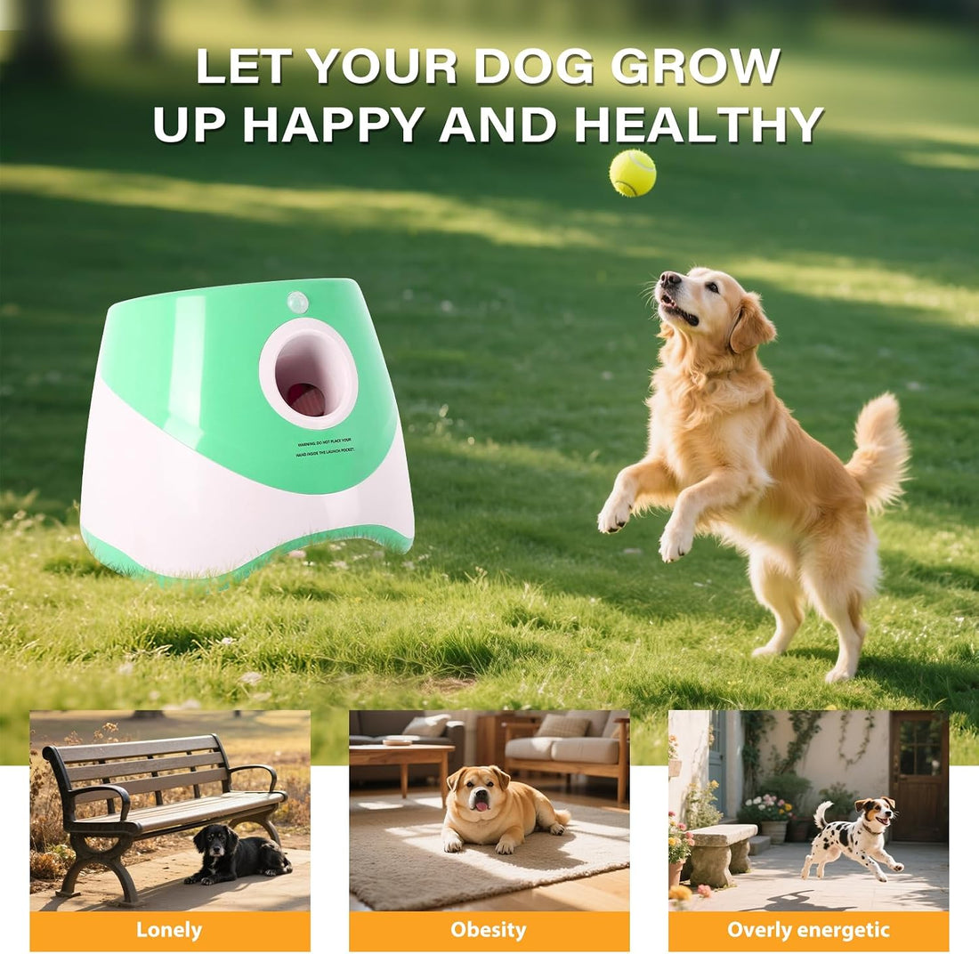 FAHKNS Automatic Dog Ball Launcher for Small Dogs