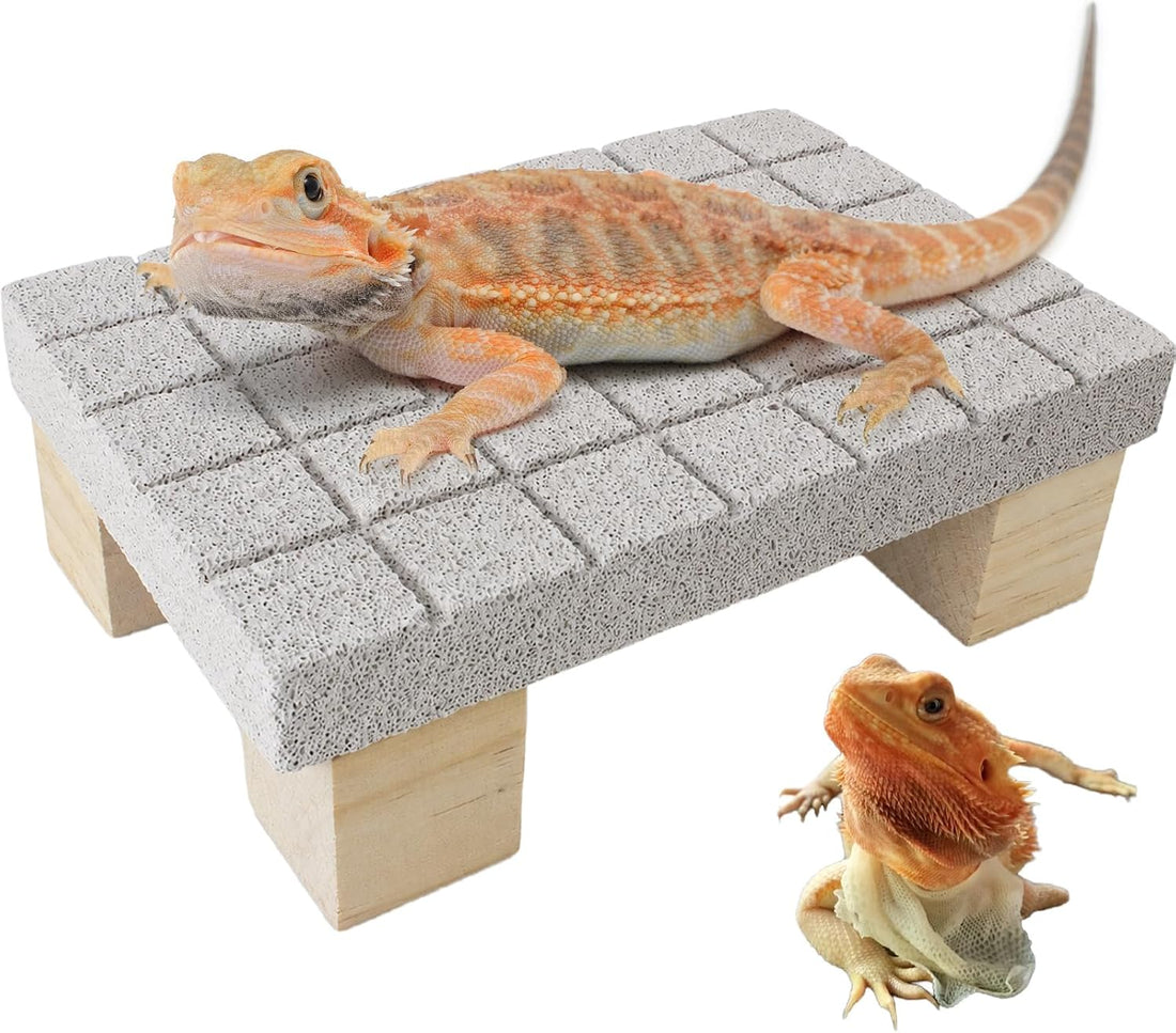 Bearded Dragon Tank Accessories Shedding Rock Reptile Basking Platform