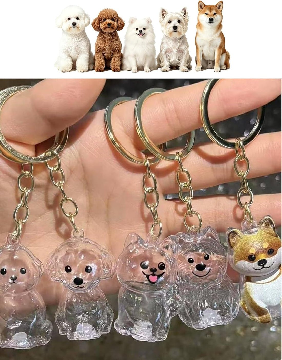 3D Clear Pet Hair Keepsake Keychain