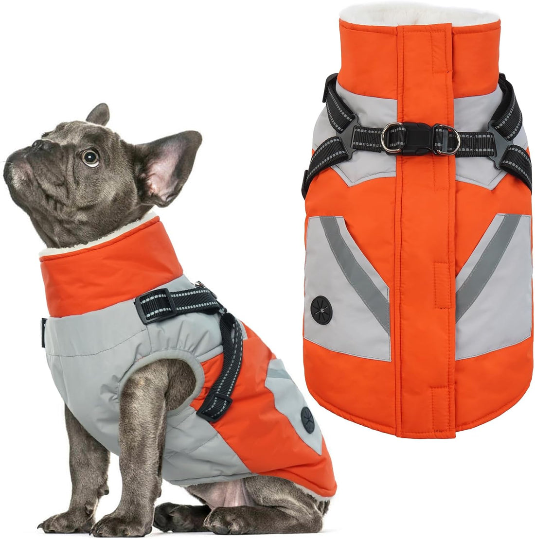 Dog Winter Coat Waterproof - Orange,Medium