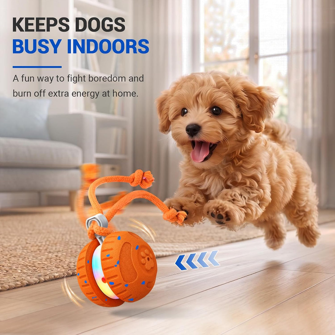 Pamlulu Interactive Dog Toy for Small & Medium Dogs