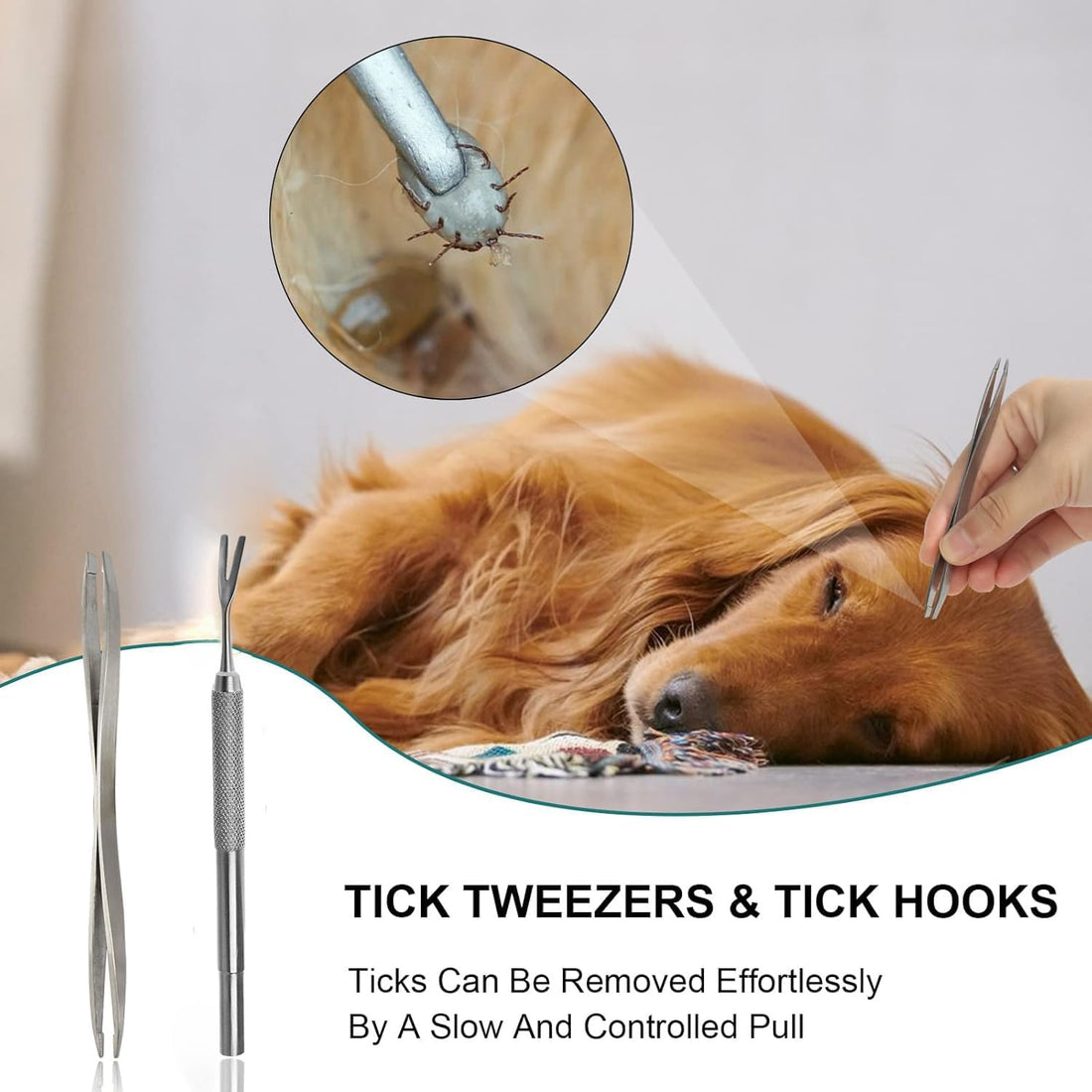 Tick Removal Tool Kit 8-in-1 with Storage Box for Dogs and Cats