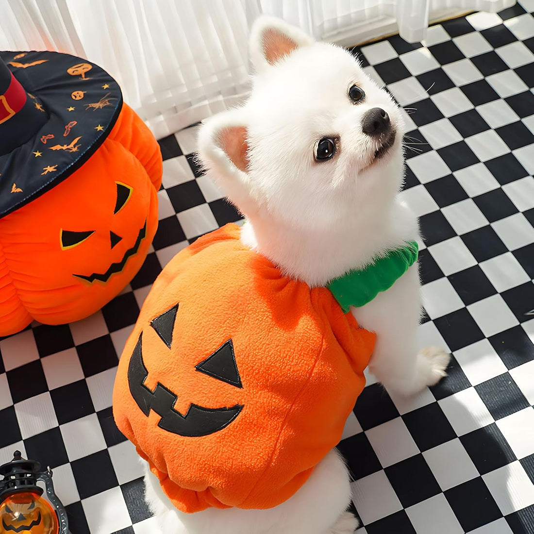 PETCARE Funny Pumpkin Dog Halloween Costume Pet Dog Cat Thick Plush