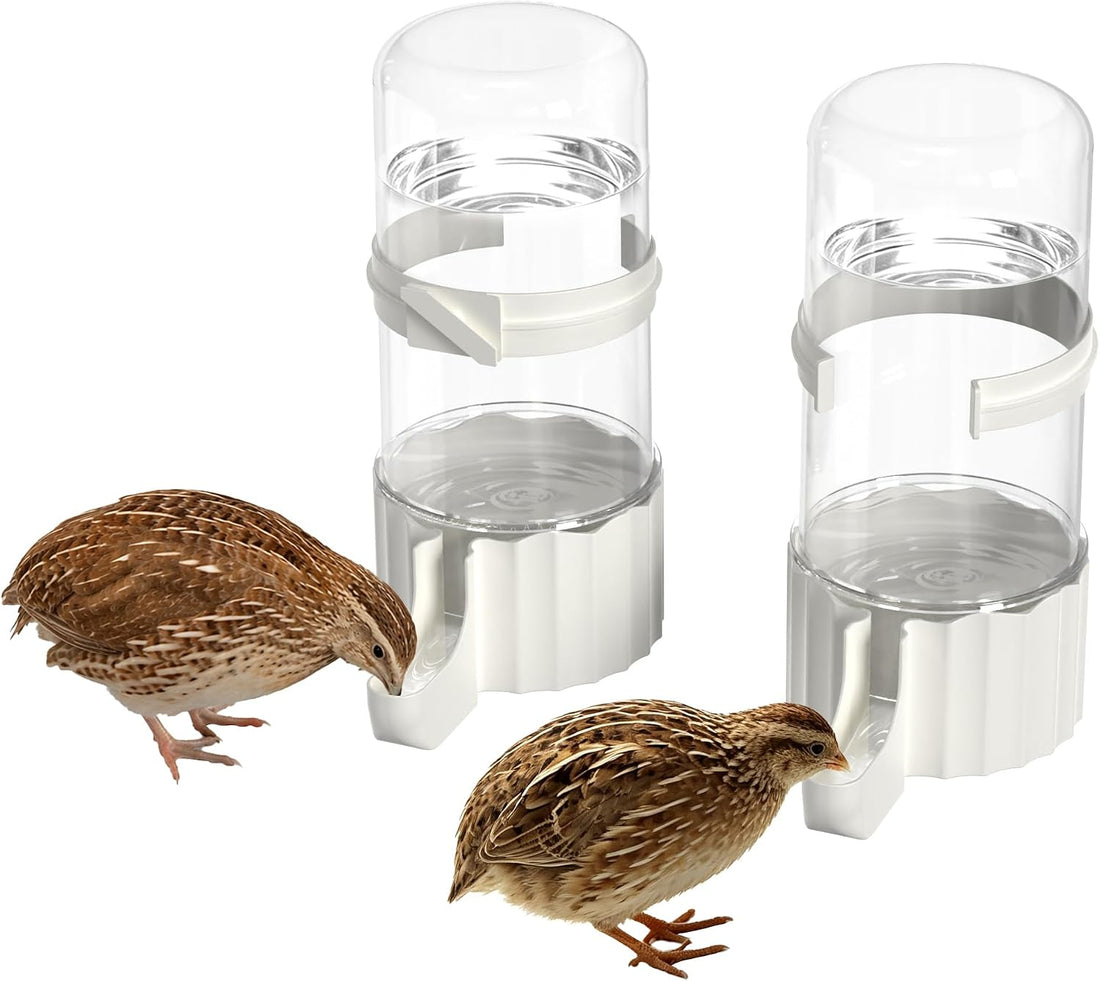 2-Pack 16.9 oz Quail Chick Automatic Waterer,No Waste Hanging Quail
