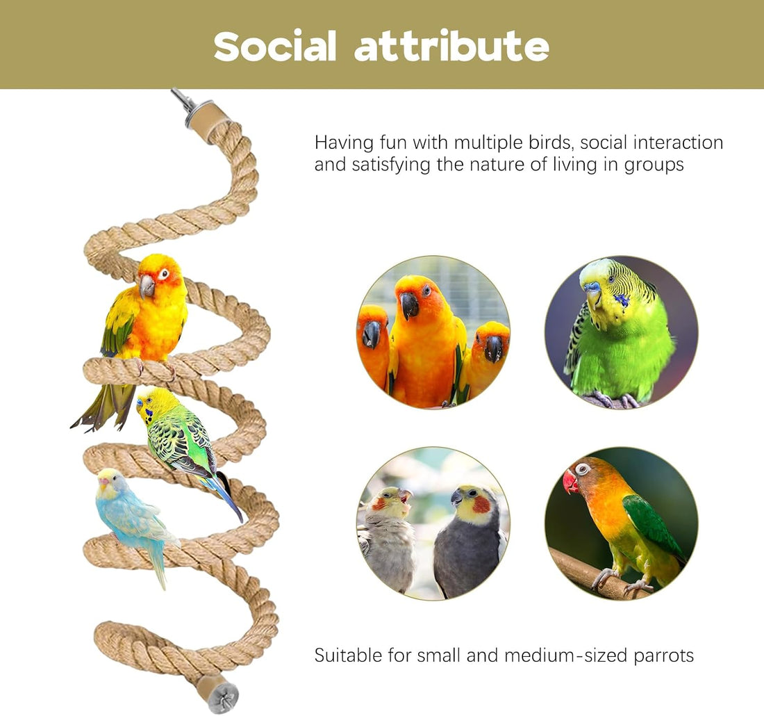 Bird Swing Rings Toy Swing Perch Natural Rattan Hoop Parrot Stand