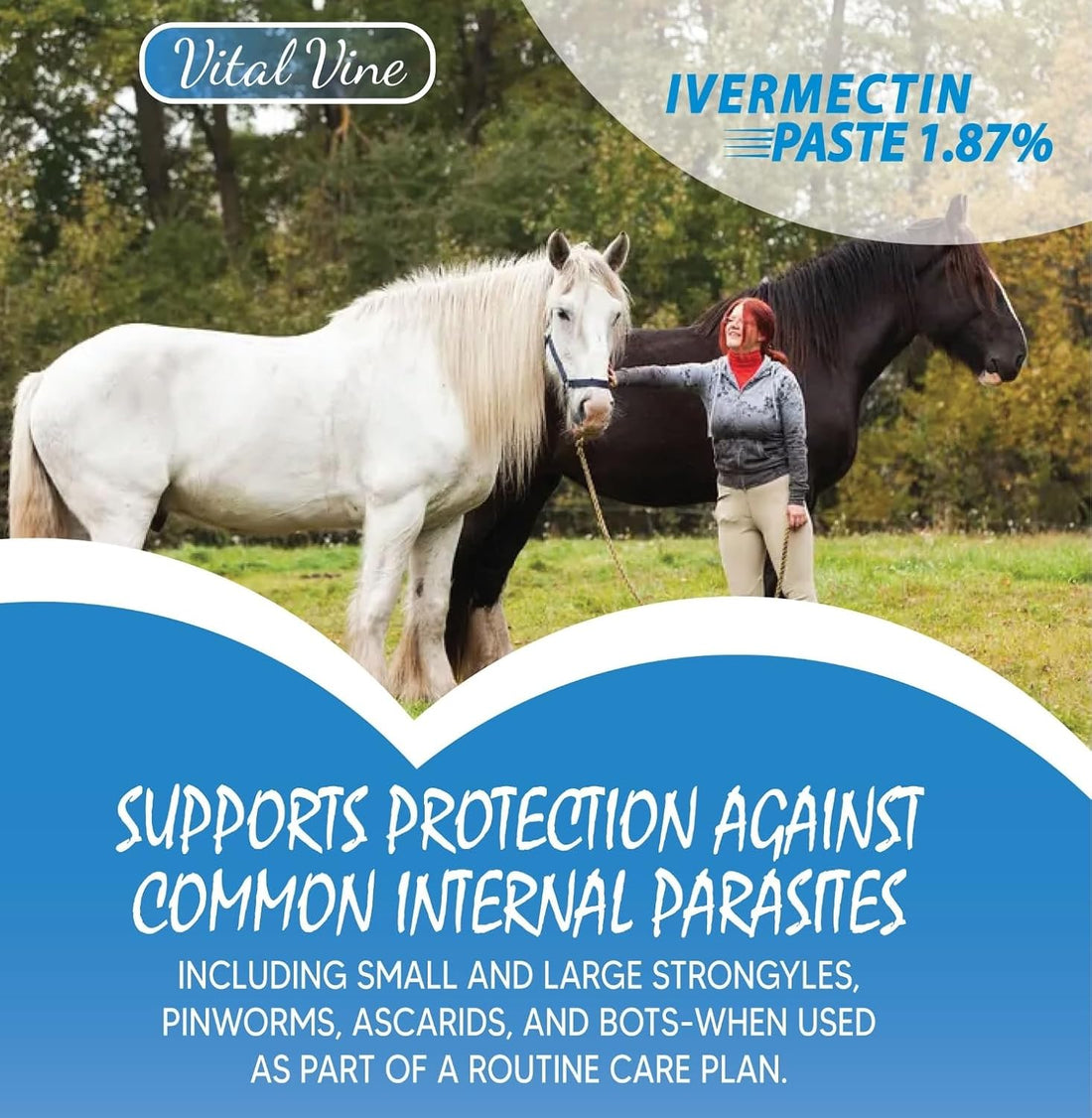 VITALVINE Ivermectin 1.87% Paste for Horses