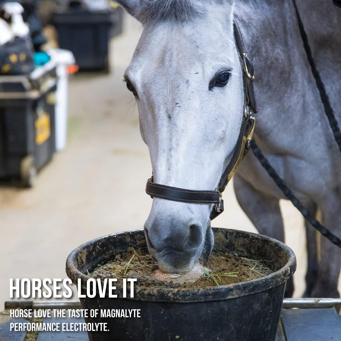 MagnaLyte Loose Salt and Electrolytes for Horses by Eagle Equine