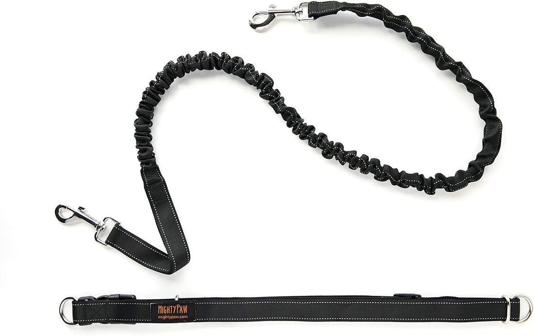 Mighty Paw Hands Free Dog Leash