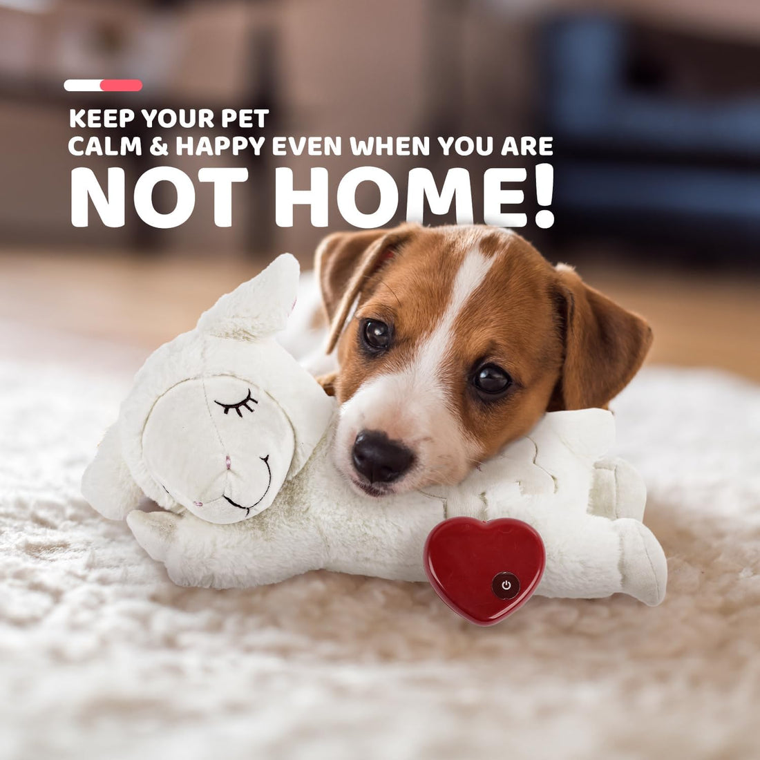 ALL FOR PAWS Heartbeat Dog Toy for Puppy