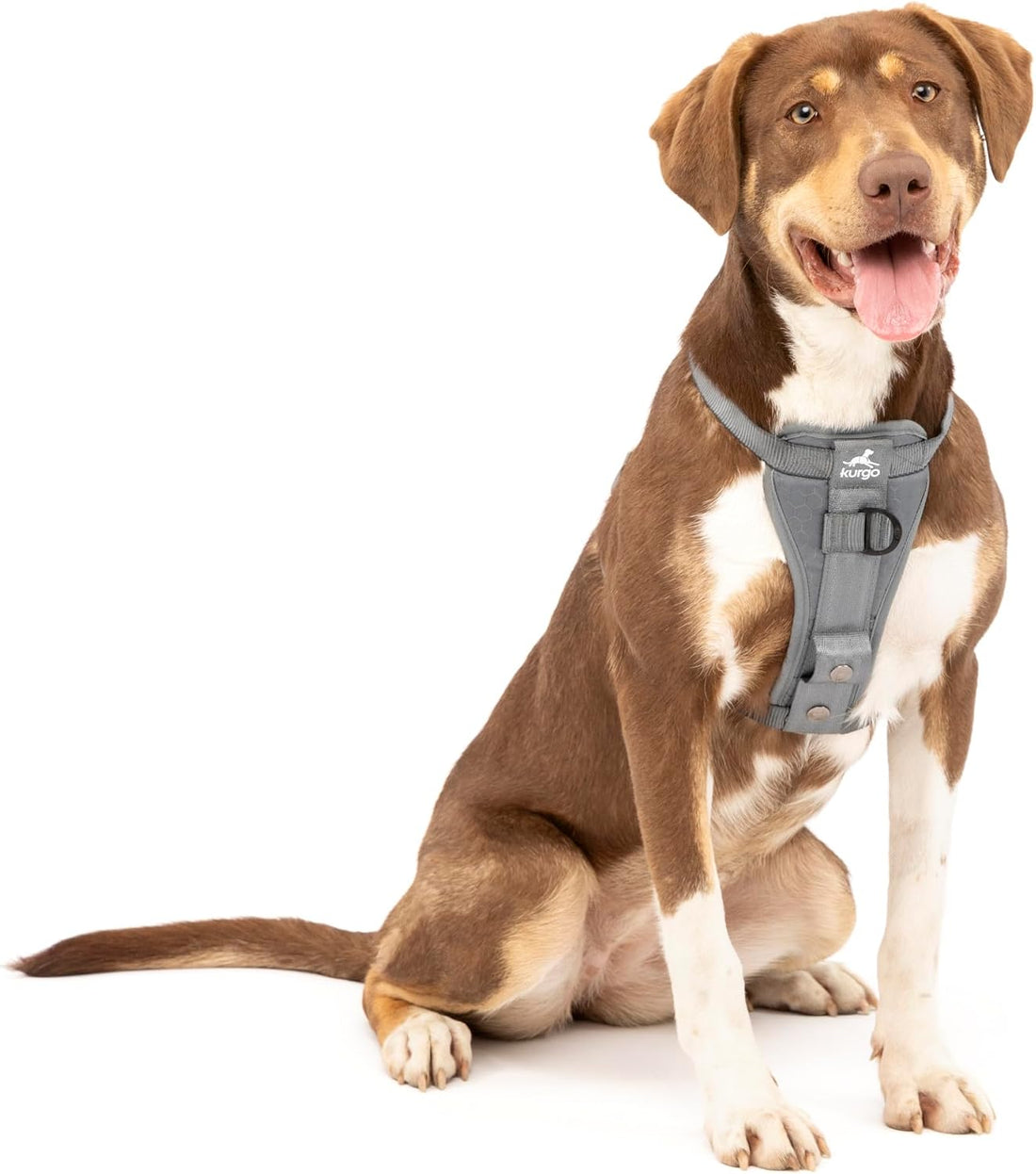 Kurgo Enhanced Strength Tru-Fit Smart Harness