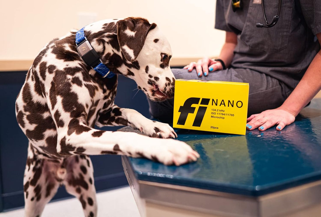 Fi Nano Microchip for Dogs - 20-Pack - Free Lifetime Registration