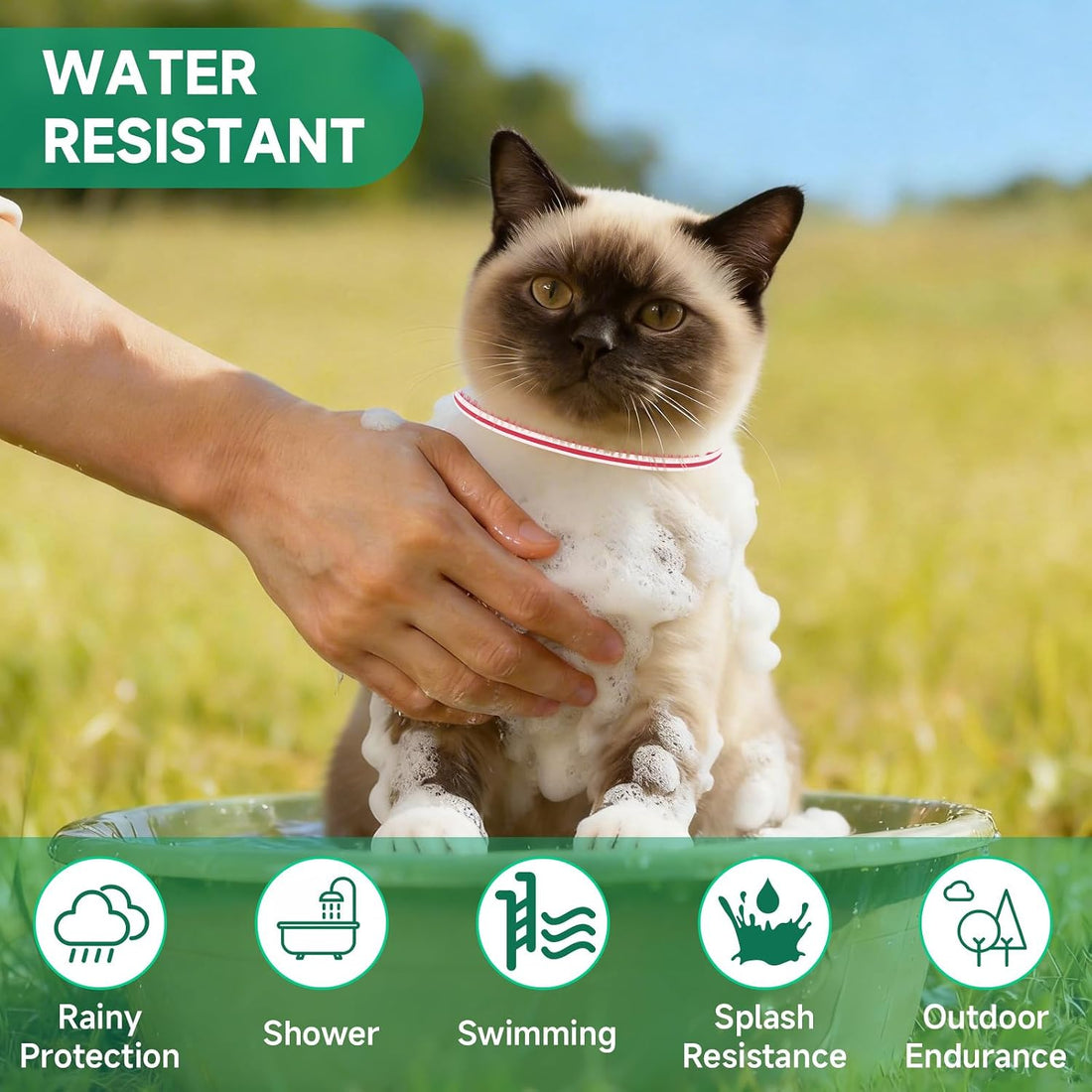 Flea Collar for Cats, 4 Pack Flea and Tick Prevention for Cats