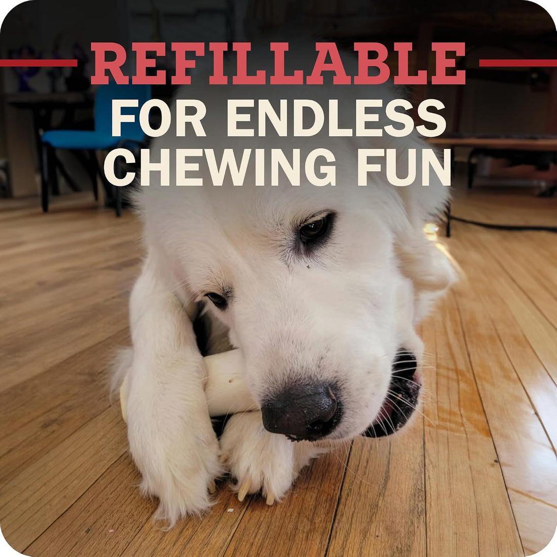 Redbarn Large Filled Bones Premium Dog Chew Cheese n' Bacon Flavor