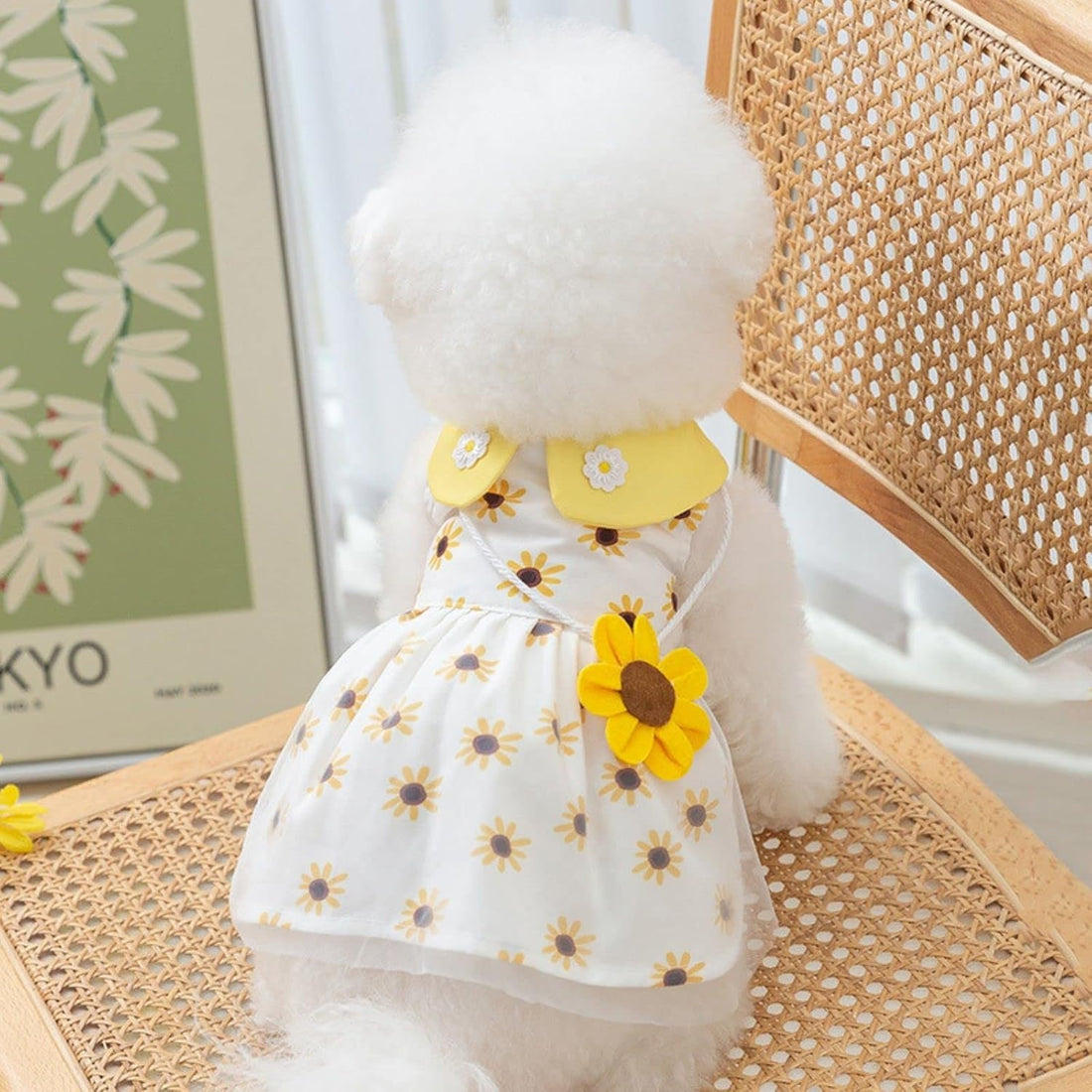 Dog Dress Soft Breathable Puppy Dresses Elegant Princess Lace Floral