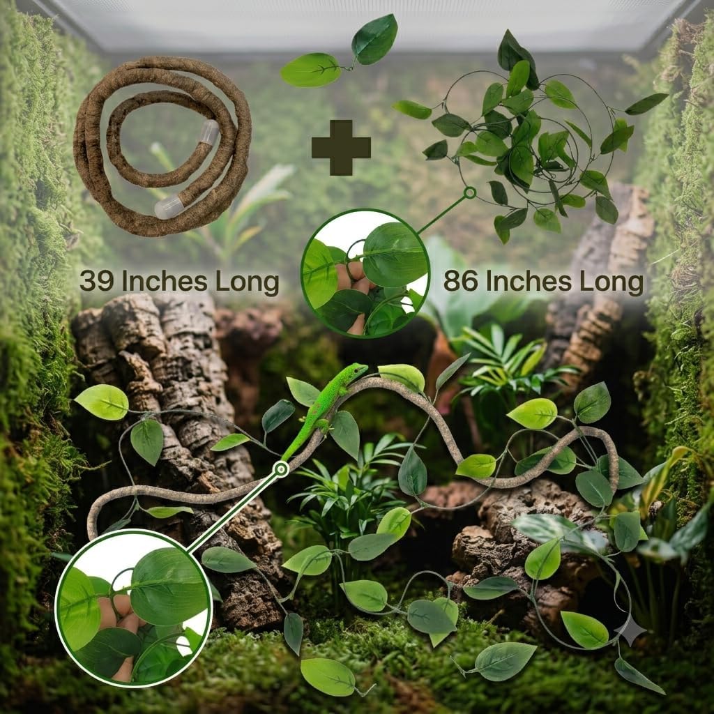Reptile Plants for Terrarium, Bearded Dragon Tank Accessories