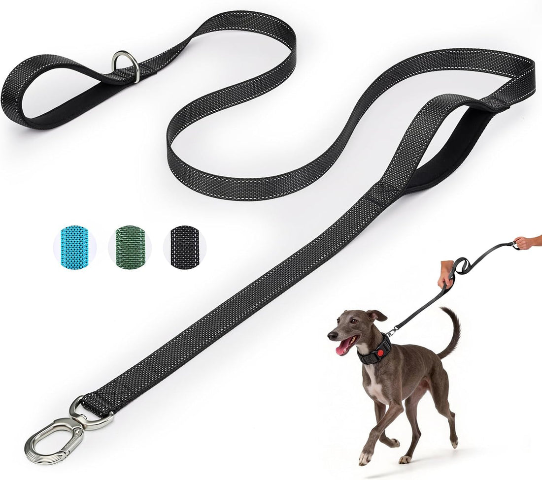 Heavy Duty Dog Leash with Easy Lock Metal Clip, Reflective