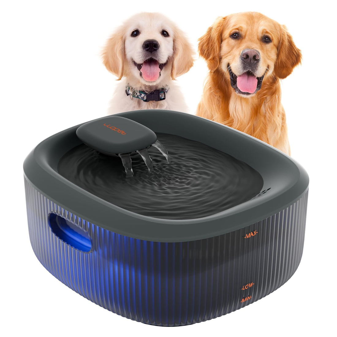 WOPET Dog Water Fountain for Large Dogs