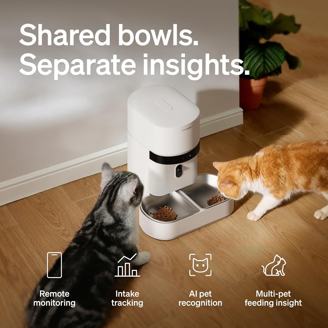 PETLIBRO Automatic Cat Feeder for 2 Cats