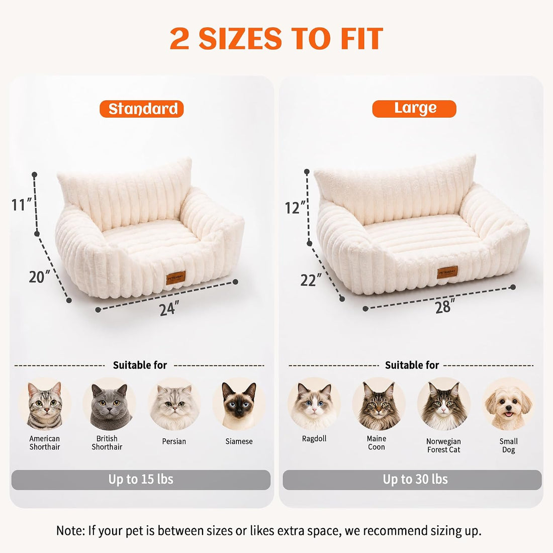 PETKARAY Cat Couch Bed, 24'' Soft Sofa for Indoor Cats