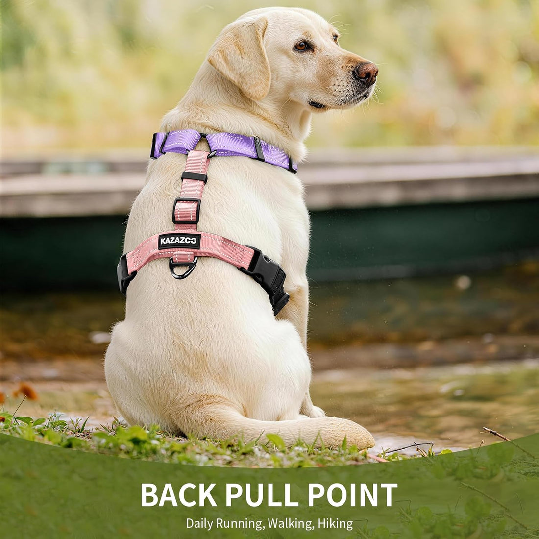 Dog Harness,Adjustable No Pull Dog Harness,Y-Shaped Design