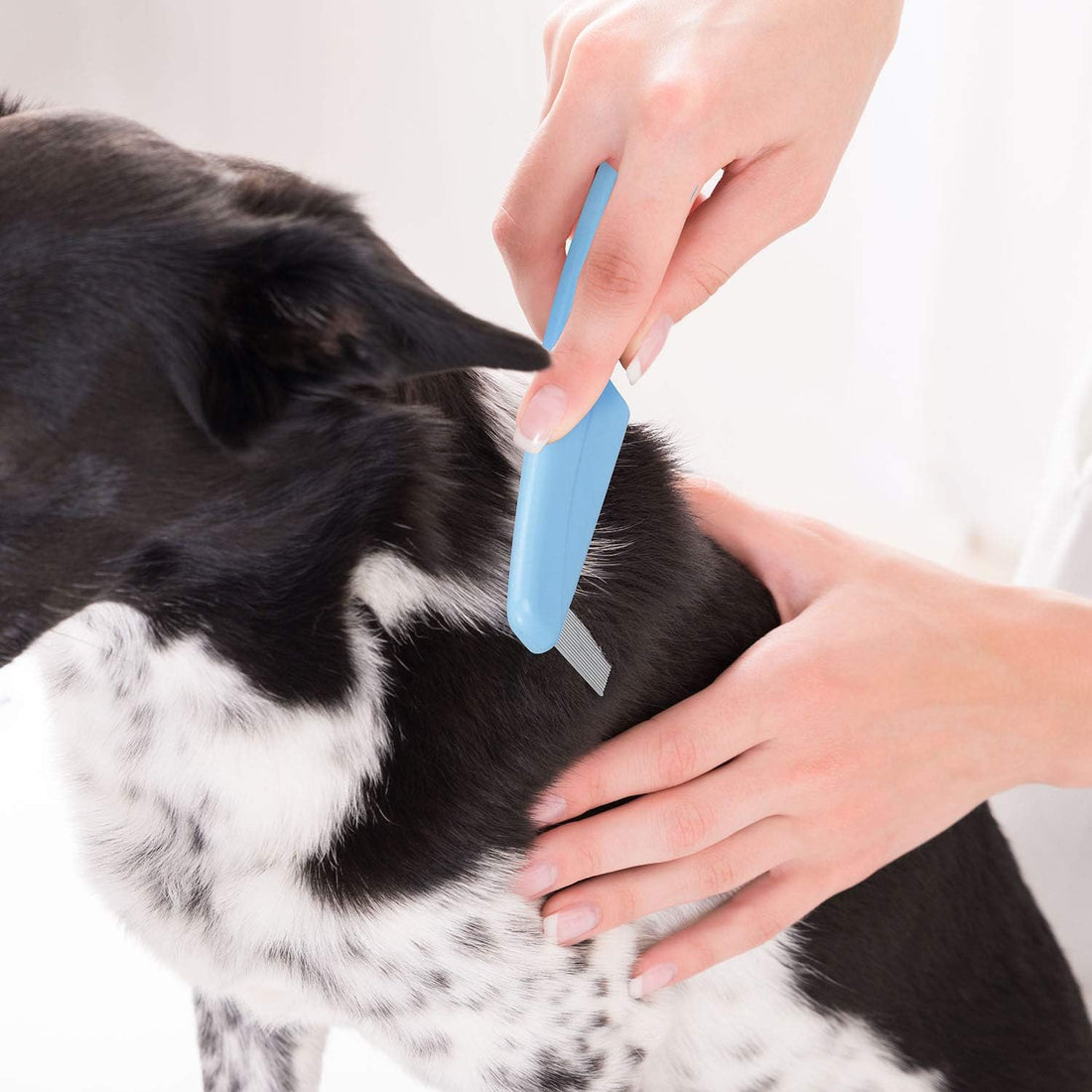 Flea Comb For Dogs & Cats Pet Comb Grooming Set 5 Pieces Metal Teeth