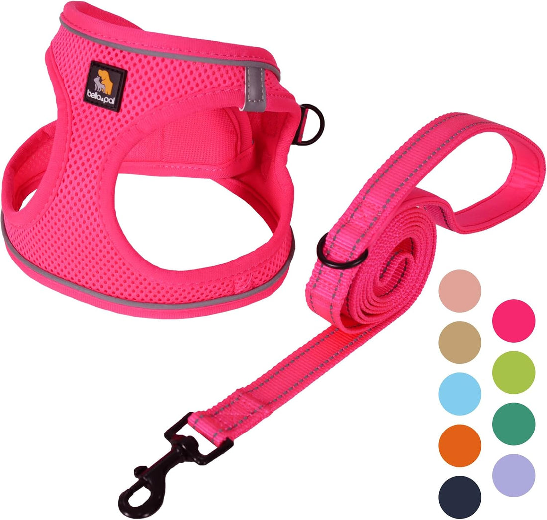 BELLA & PAL Step in Puppy Harness and Leash Set