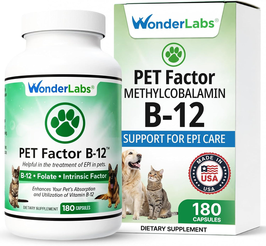 Wonder Laboratories Vitamin B12 - Methylcobalamin Dog Supplement