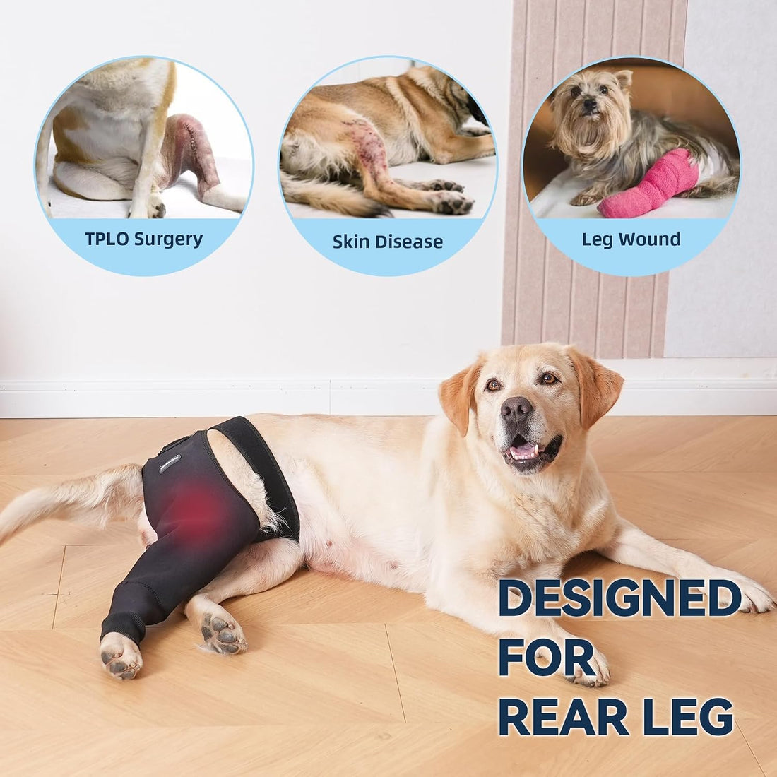 Single Dog Rear Leg Sleeve to Stop Licking