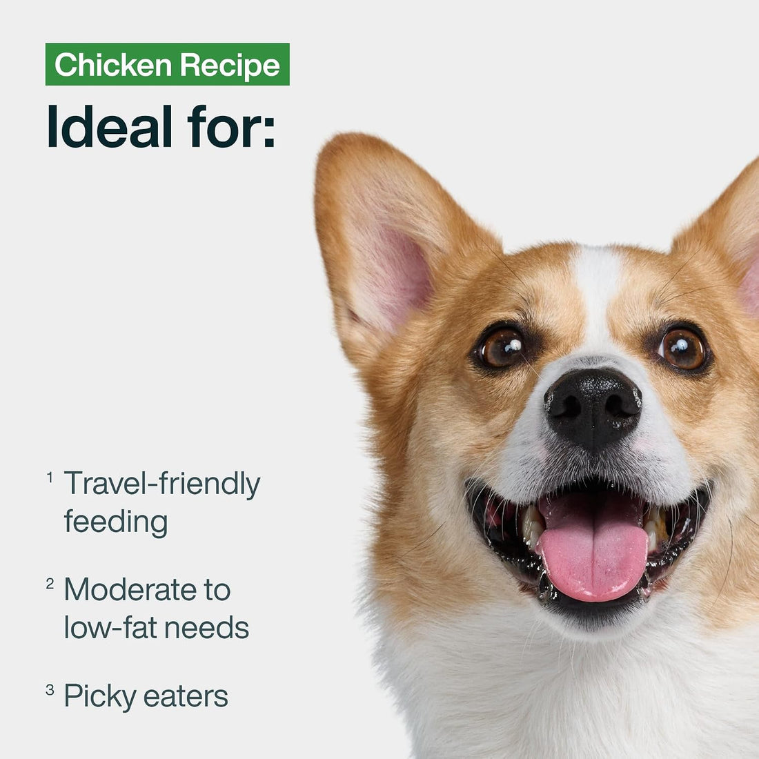 JustFoodForDogs JustFresh Wet Dog Food
