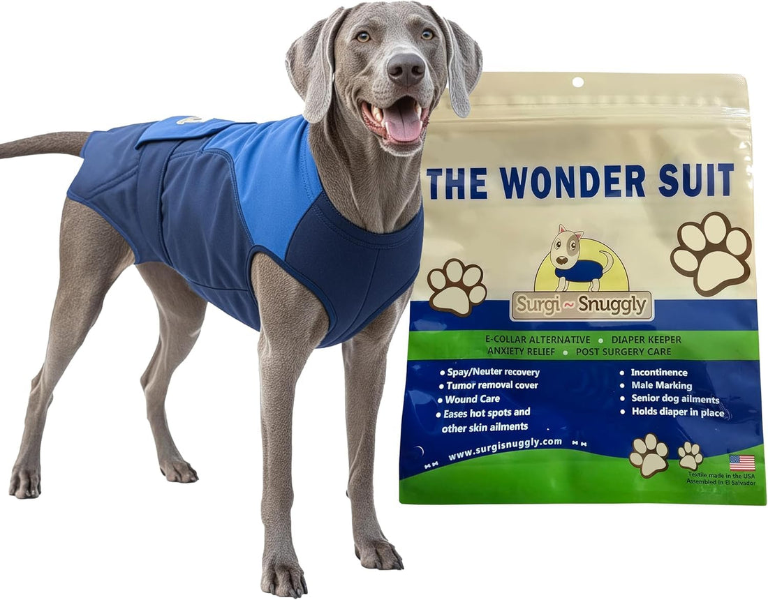 Surgi Snuggly Dog Surgery Recovery Suit
