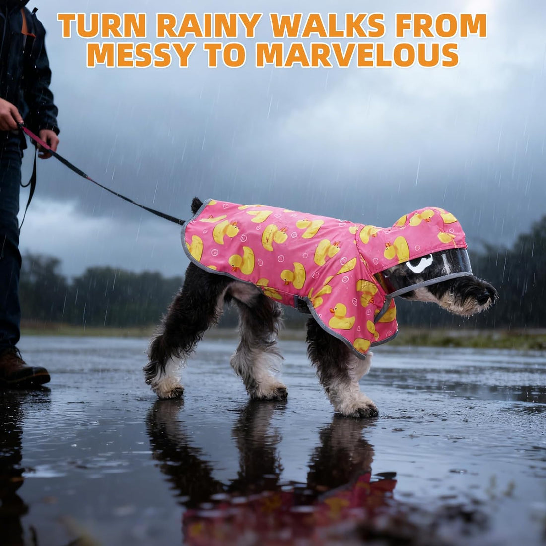 KOOLTAIL 2-in-1 Reversible Small Dog Raincoat