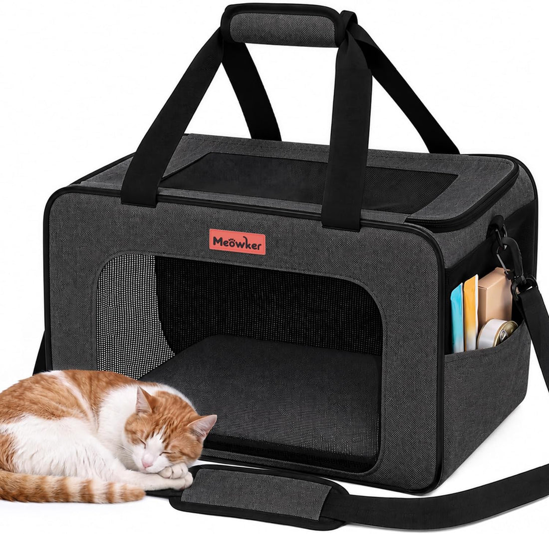 Soft-Sided Cat Dog Pet Travel Carrier Airline Approved, Medium Gray